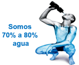 SOMOS DEL 70 AL 80% AGUA  